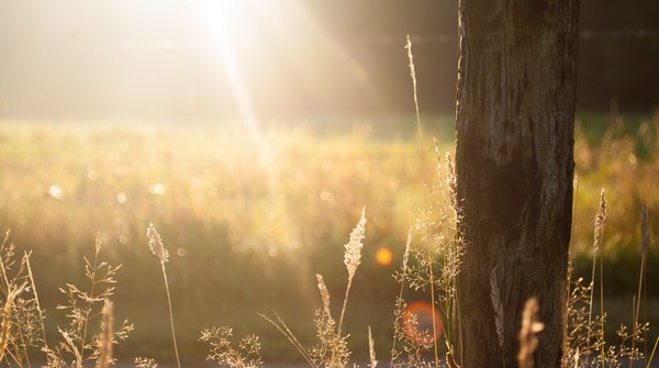 ▲▼養成「早睡早起」的6個小方法             。（圖／Unsplash）