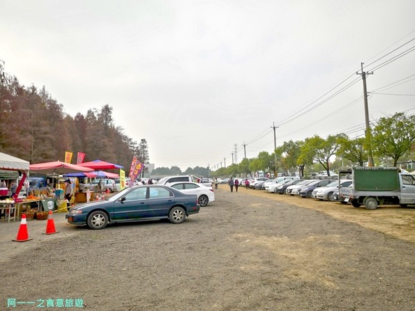 ▲▼台南六甲落羽松森林。（圖／阿一一之食意旅遊提供，以下皆同，請勿隨意翻拍以免侵權）