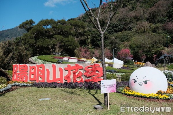 ▲2021陽明山花季。（圖／記者彭懷玉攝）