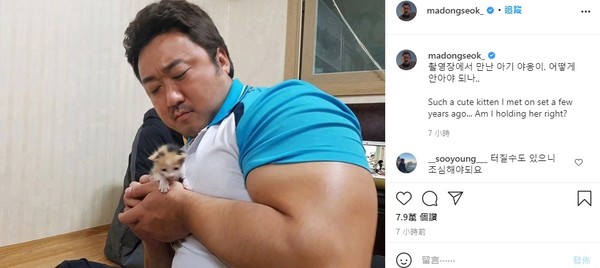 ▲馬東石曬出抱剛出生小貓的照片。（圖／翻攝Instagram／madongseok_）