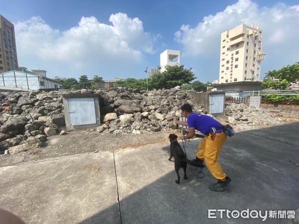 ▲搜救犬平時訓練。（圖／記者黃彥傑攝）