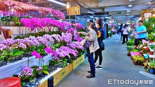 ▲新北農曆春節衝買氣 板橋花市延長夜間營業時間。（圖／新北市農業局提供）