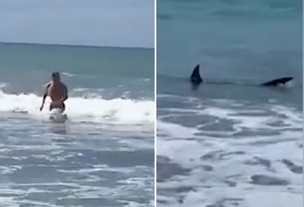 ▲▼紐西蘭一名男子來到希望海灘（Ōhope Beach）游泳，竟看見2片鯊魚鰭出現在腳跟附近。（圖／翻攝自YouTube／3W Daily）
