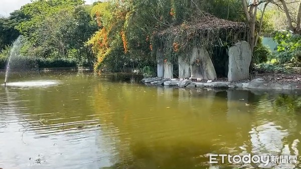 ▲▼ 花蓮一名1歲男嬰跌落池塘。（圖／記者蕭可正翻攝）