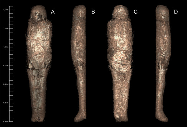 ▲▼有研究員發現一具形成於公元前1200年前的木乃伊，罕見以廉價的泥殼包裹屍體。（圖／雪梨周澤榮博物館和麥覺理大學研究報告）