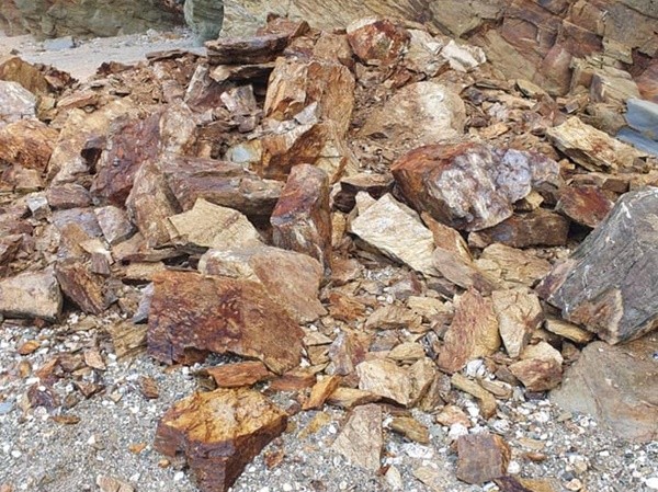 ▲▼英國康瓦爾地區一隻狗狗被懸崖上崩落的土石砸死。（圖／翻攝自Facebook／HM Coastguard）