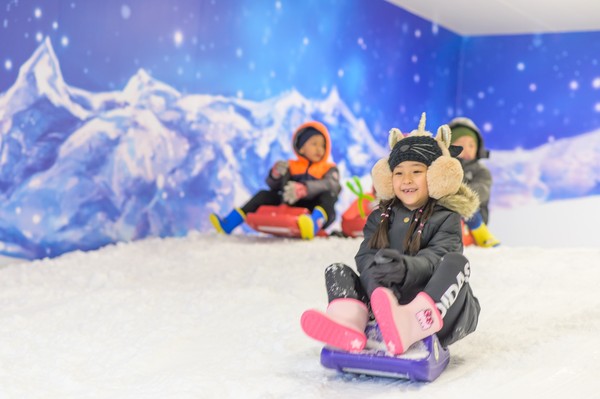 ▲高雄滑雪學校飄雪樂園。（圖／極限運動協會提供）