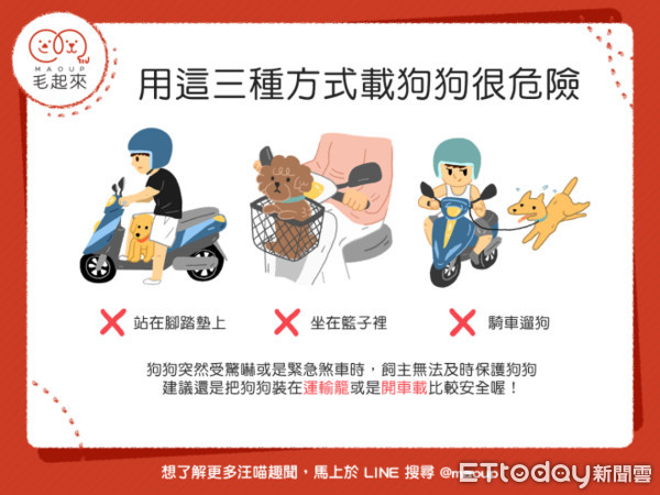 危險！這3種載狗兜風方式超母湯