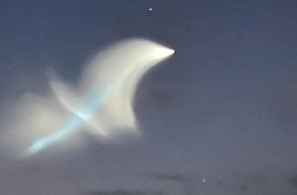 ▲▼ 美國海岸出現外星人UFO?            。（圖／翻攝 環球網）