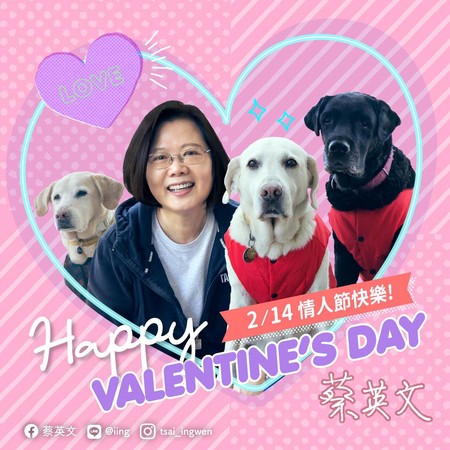 ▲▼總統蔡英文情人節曬3愛犬合照，祝福所有相愛的人能相守。（圖／蔡英文Line官方帳號）