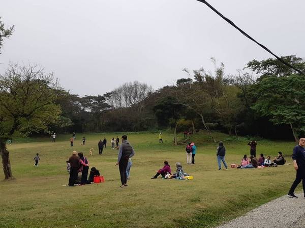 ▲新春賞櫻去，桃園二處景點報您知