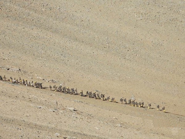 ▲▼ 印度軍隊發布中國部隊2021年2月15日自中印邊境拉達克班公湖（Pangong Tso）地區撤離的照片。（圖／達志影像／美聯社）