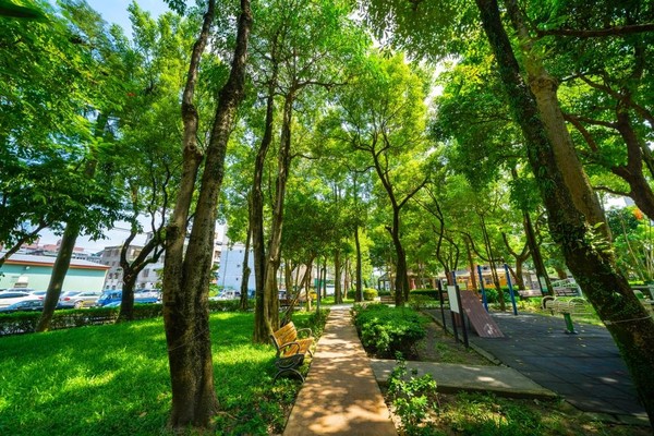 ▲▼ 台北南港的東新公園，是南港景觀生態廊道的核心位置,南港公園綠地。（圖／信義代銷提供）