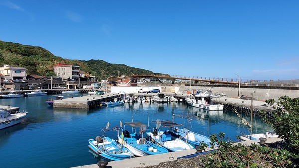 ▲基隆旅遊,望海巷漁港跨海景觀橋,瑪東區緋寒櫻盛開。（圖／基隆市政府提供）