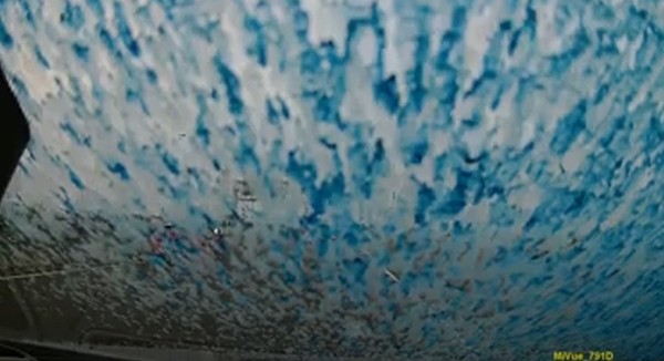 ▲▼國道驚見惡意逼車，前擋風玻璃遭潑漆。（圖／翻攝自爆料公社二社）