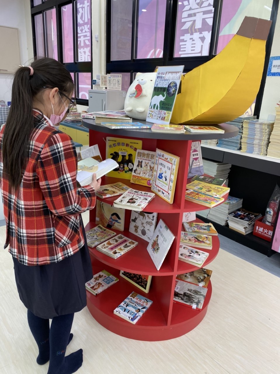 ▲▼ 帶著守宮、角蛙到學校！北市中山小學推「動保課」讓學生帶寵物上課。（圖／記者崔至雲攝）