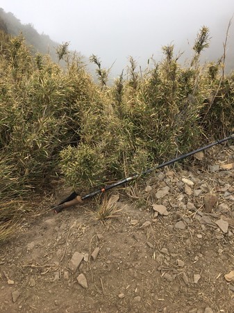 ▲▼7人登山隊單攻郡大山，1名34歲女子失聯。（圖／南投縣消防局提供）