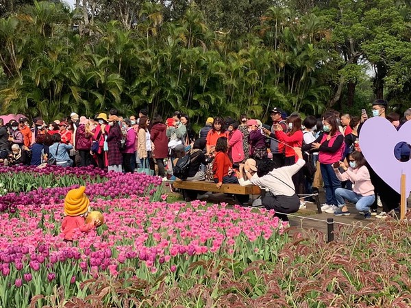 ▲▼連假最後一天,士林官邸鬱金香賞花人潮、陽明山賞花人潮。（圖／翻攝自公園新花漾臉書專頁）