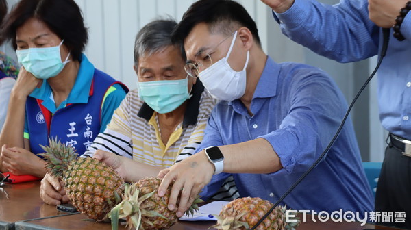 ▲中國國民黨主席江啟臣南下台南，關心台灣鳳梨產業遭大陸當局暫停進口的情況，強調國民黨14個執政縣市首長，將會聯合幫忙行銷。（圖／記者林悅翻攝，下同）