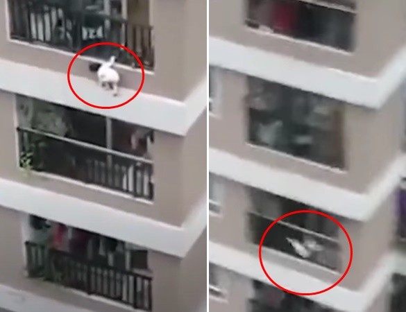 ▲越南小妹妹從13樓摔下。（圖／翻攝自YouTube／Du Lịch Channel）