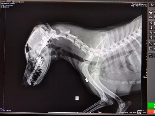 ▲▼             。（圖／翻攝自臉書）