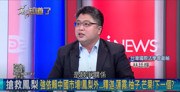 ▲▼林廷輝指出，台灣與東南亞國家在鳳梨的品項上，根本是競爭關係。（圖／翻攝自三立iNEWS YouTube）