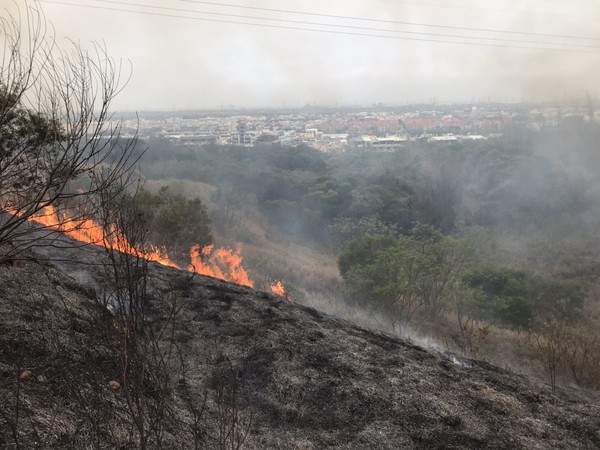 ▲大肚山火警。（圖／台中消防局提供）