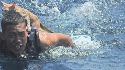 失火漁船困著貓！霸氣海軍秒跳海「一次徒手救4隻」　網讚爆：真男人