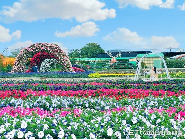 ▲▼中社花市賞鬱金香、烤肉。（圖／記者周姈姈攝）