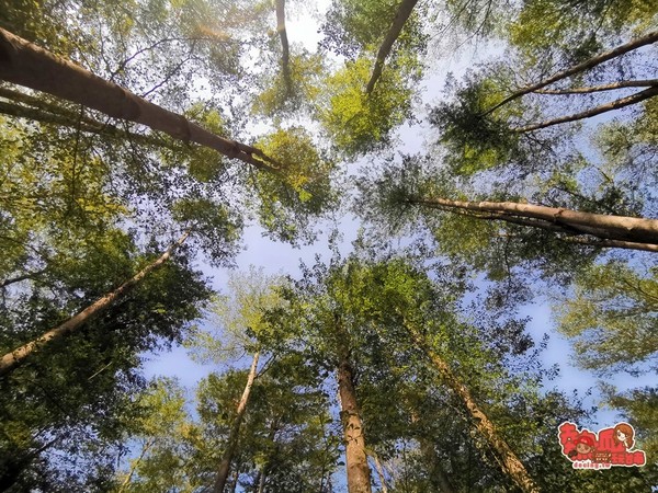 ▲▼溪美社區森林公園。（圖／熱血玩台南）