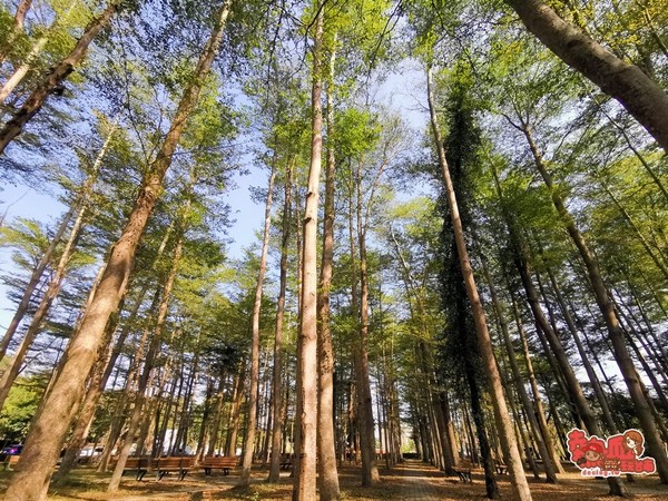 ▲▼溪美社區森林公園。（圖／熱血玩台南）