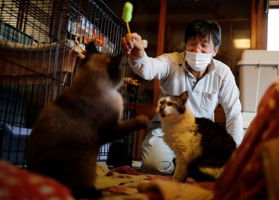 福島核災10年了！救援男死守災區「被遺忘的41貓1狗」：直到牠們死去