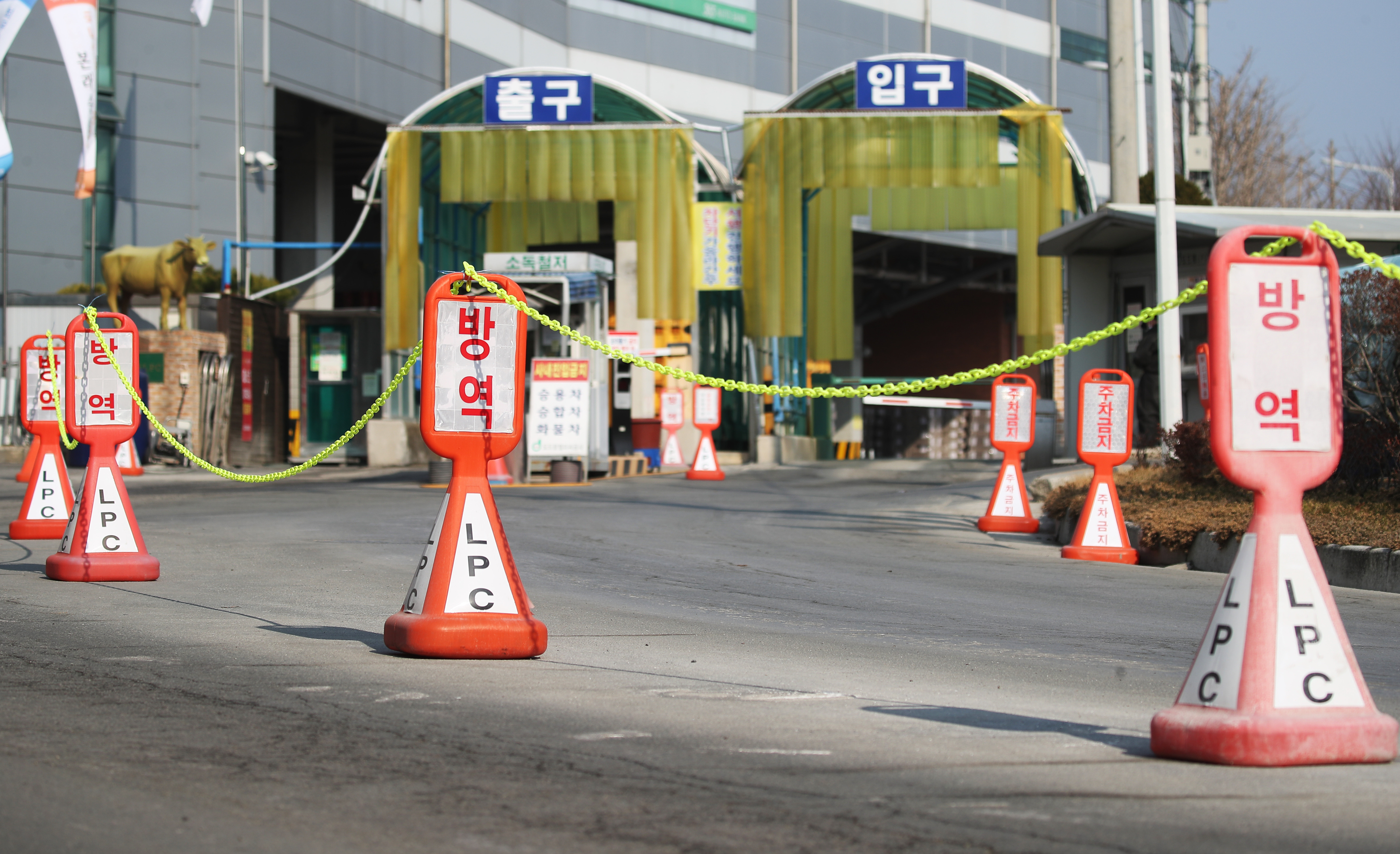 ▲▼南韓京畿道安城市畜產集貿市場爆發群聚感染。（圖／達志影像）