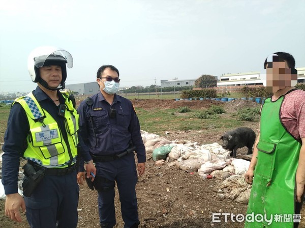 ▲彰警圈圍抓小豬。（圖／記者唐詠絮翻攝）