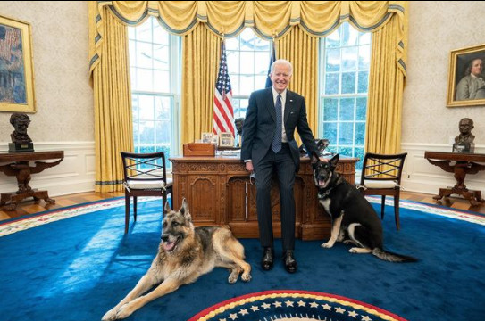 ▲▼美國總統拜登和兩隻愛犬。（圖／翻攝自Instagram／Potus）