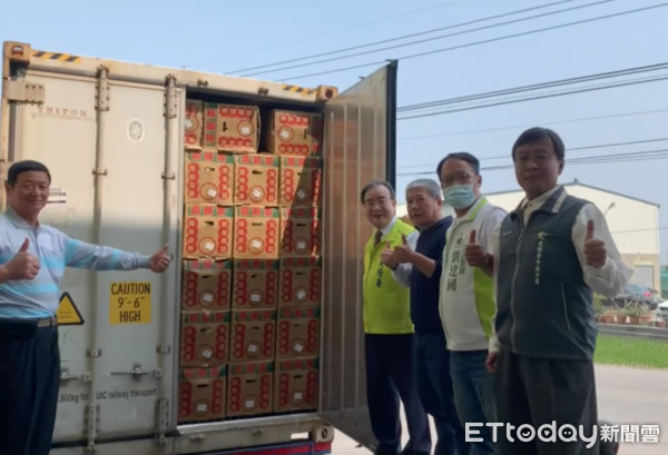 ▲臺灣甘藍往年多供應日本、加 拿大、香港、泰國及新加坡等國，深受當地華人喜愛，上週農糧署輔導農民團體配合貿易商試銷中東杜拜，擴大多元通路。（圖／記者蔡佩旻翻攝）