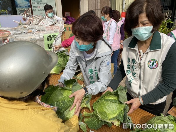 ▲立委陳亭妃、陳怡珍安南區和北區兩處服務處，各送出千顆高麗菜幫助農民，約1小時就送完。（圖／記者林悅翻攝，下同）