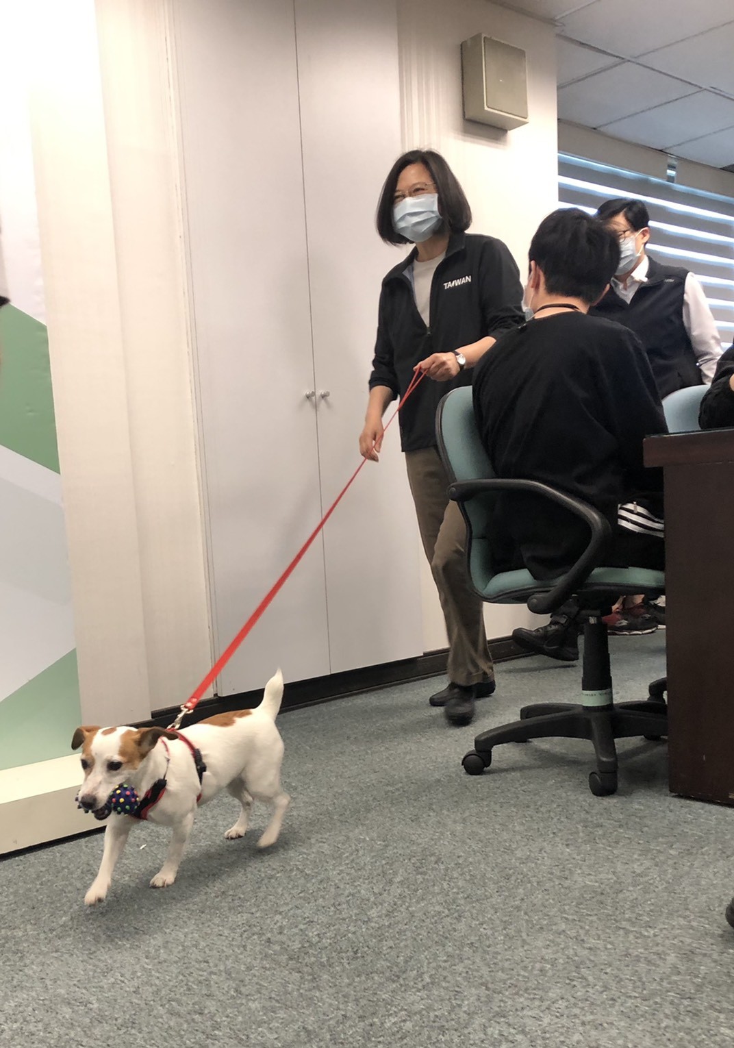 ▲▼蔡英文領養退役搜救犬樂樂。（圖／讀者提供）