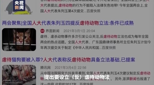 ▲▼大陸全國人大代表趙皖平建議，修改《治安管理處罰法》，將虐待動物行為明確納入法律的適用範圍。（圖／翻攝 央視、貓咪圖讀者提供）