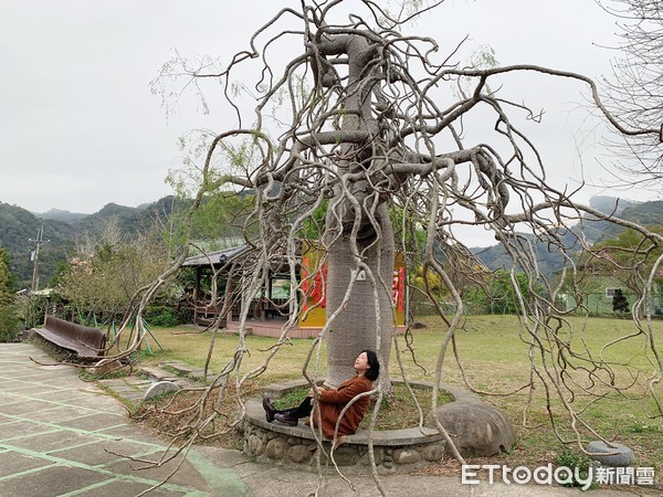 ▲巧克力雲莊。（圖／記者彭懷玉攝）