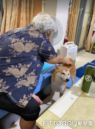 ▲80歲失智嬤錯把柴柴當親孫！3年身體變好　媽感動：肉圓就是良藥。（圖／網友黃美華提供，請勿隨意翻拍，以免侵權。）