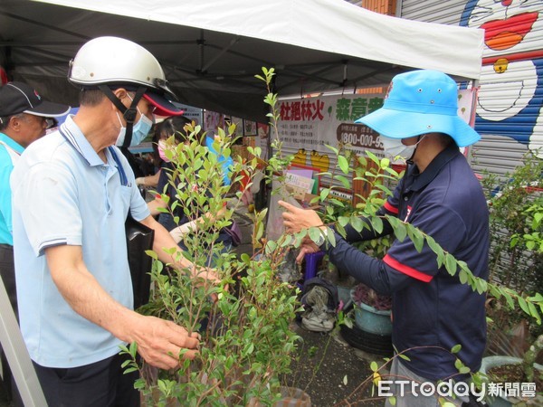 ▲▼往年在海岸線領取苗木的民眾非常踴躍。（圖／台東林管處提供，下同）