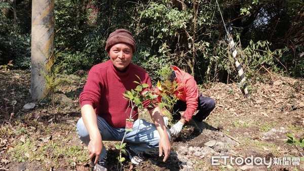 ▲參山處與東勢林管處合作綠化大梨山。（圖／參山國家風景區管理處提供）