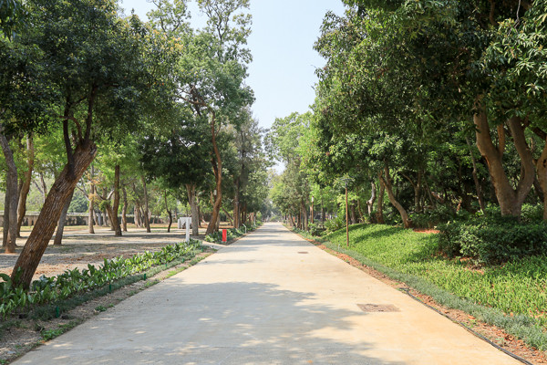 ▲▼台中后里花博森林公園。（圖／《旅行好有趣》提供）