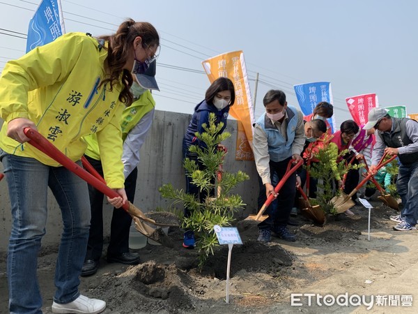 ▲雲林縣長張麗善、南投林區管理處處長李政賢、縣議員、游淑雲、廖萬攜手種下吉祥長青的羅漢松。（圖／記者蔡佩旻攝）