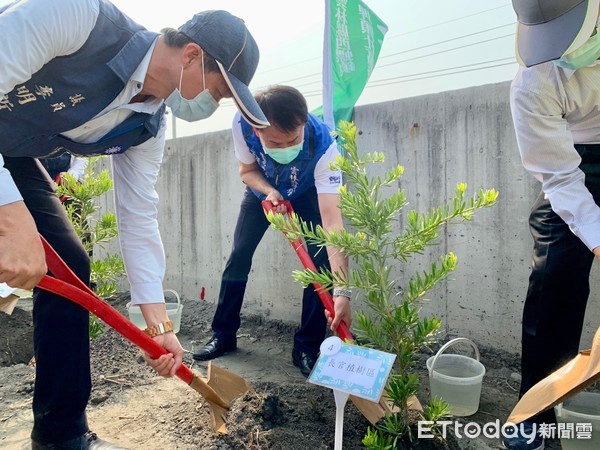 ▲雲林縣長張麗善、南投林區管理處處長李政賢、縣議員、游淑雲、廖萬攜手種下吉祥長青的羅漢松。（圖／記者蔡佩旻攝）