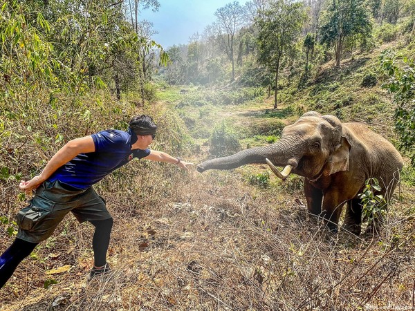 ▲▼泰國獸醫馬尼恩（Pattarapol Maneeon）與12年前治療的第一頭大象感人重逢。（圖／翻攝自Facebook／ภัทรพล ล็อต มณีอ่อน）