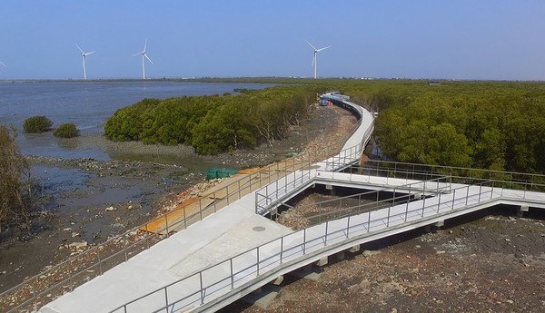 ▲▼芳苑濕地紅樹林海空步道。（圖／彰化縣政府城市暨觀光發展處提供）