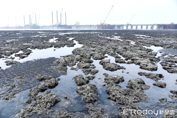 藻礁難題　蘇貞昌釋善意：評估環團的三接外推方案 | ETtoday政治新