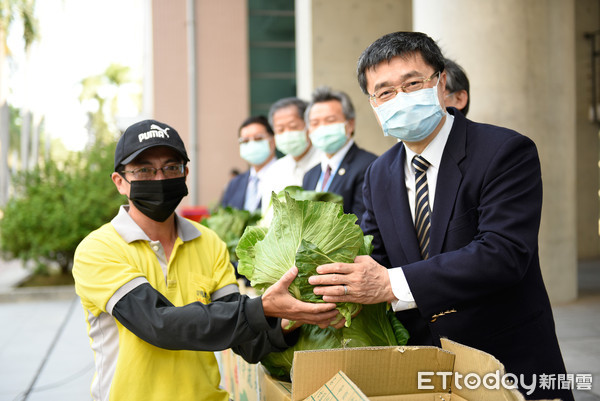 ▲高醫認購1萬公斤台東高山高麗菜挺農民 。（圖／高醫提供）